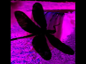 Dark Lantern Divertissement Presents 'The Dragonfly' Scene 4 Pt.2